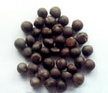 seed